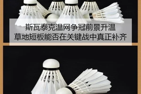 img_1781941575871_54_0_557.jpg | kaiyun
